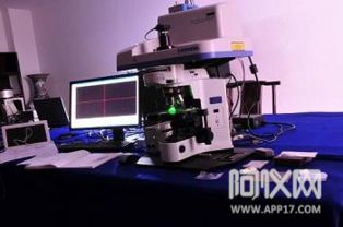 x熒光光譜儀等科學(xué)儀器助力文物修復(fù)